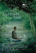 Anatomy of Time