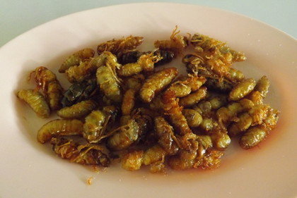 雲南新友飯店の蜂の子の素揚げ