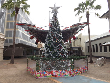 ダーウィンのクリスマスツリー