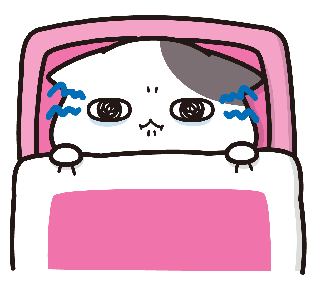 眠れない猫