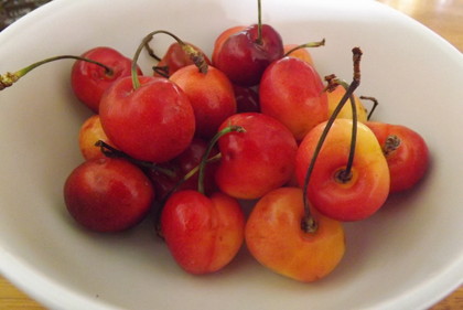 さくらんぼ（レイニア種）